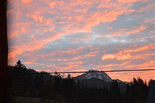 MSC Apartments Honeymoon, Zakopane (photo 10)