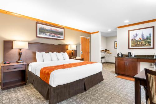 Best Western Rocky Mountain Lodge - image 4