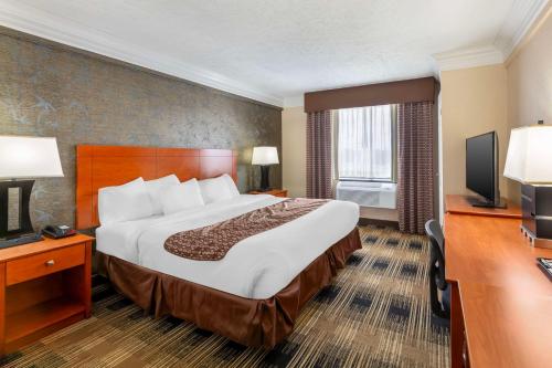Best Western Inn at the Rochester Airport - image 12