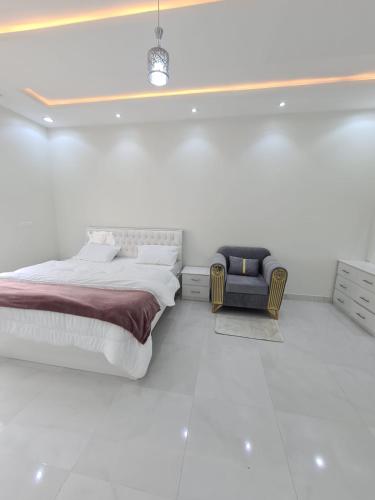 ابها المحاله خلف الفحص الدوري