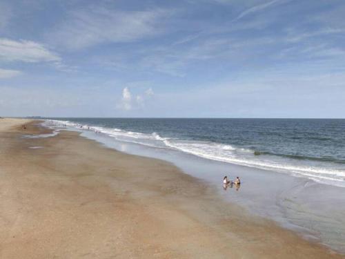 4 Minute Walk To North Beach! Classic Cottage! 4 Minute Walk To North Beach! Classic Cottage!