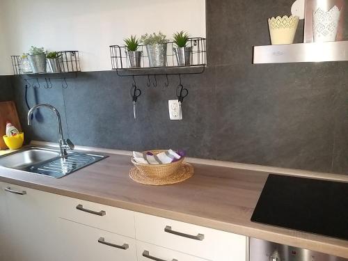 virtuve, Holiday Home NA VASI in Kopacnica
