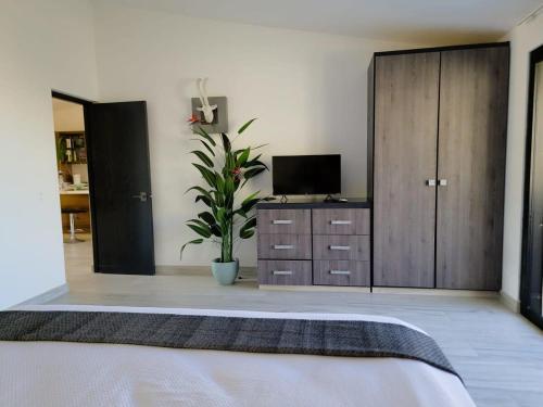 Unit 216-Casa Ricardo-Ocean View RENOVATED in Cabo San Lucas, Mexico