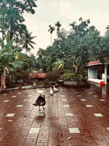 بنغل 3500 متر مربع من 4 غرفة و4 حمام خاص في Wayanad (Entire Private Luxury Resort in Wayanad - Cinnamon) in باتشيلاكادو