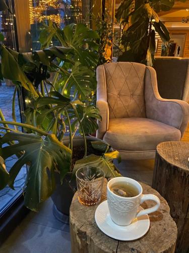 Guest House Rest - image 10