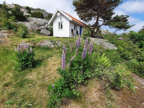 Cottage with sea view South Koster, Strömstad (Foto 5)