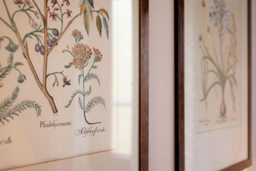 Guest House Morandi - image 5