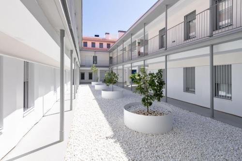  Triana Pages Oasis by Valcambre in Sevilla