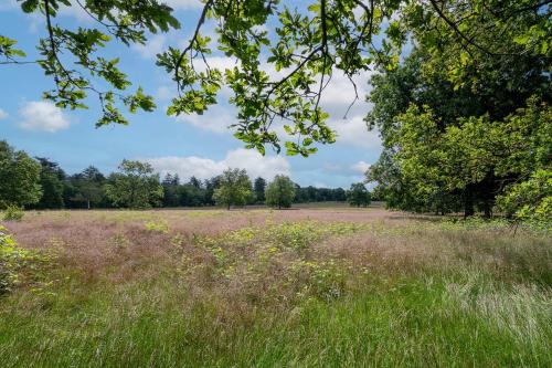 Surrounding environment, Landhuisje 31 'De Akkersteen' Bospark IJsselheide Zwolle Hattemerbroek in Hattemerbroek