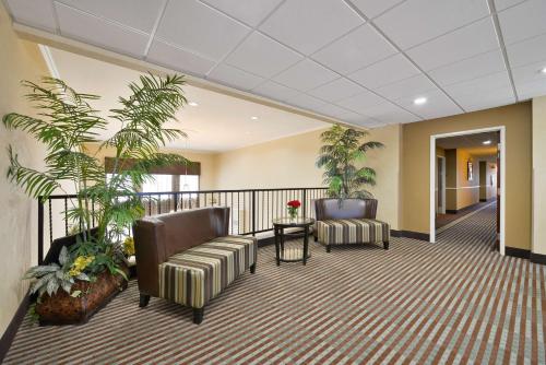 Best Western Plus Cutting Horse Inn & Suites - image 6