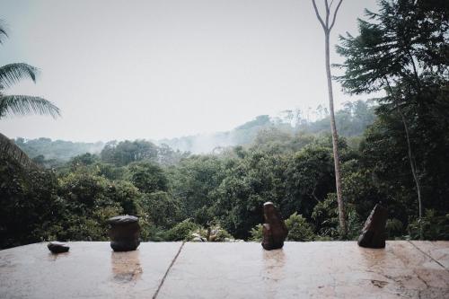 Finca Bavaria in Ballena