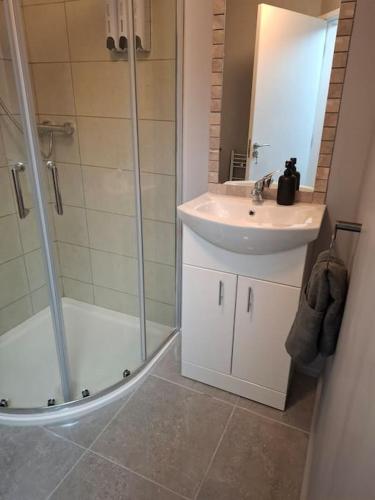 Appartment 3 at Busy Bee, Daingean (foto 8)