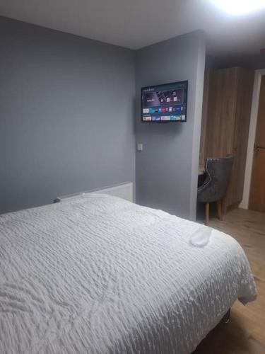 Appartment 3 at Busy Bee, Daingean (foto 5)