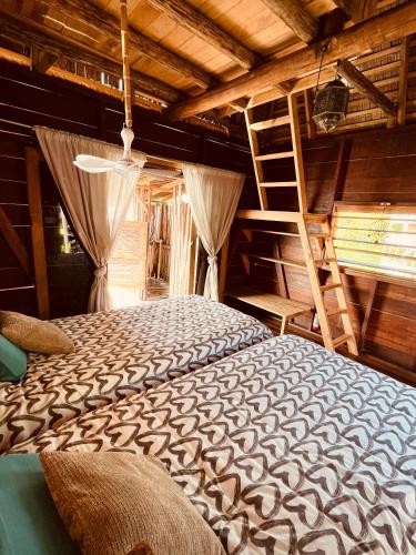 Urraca Monkey Island Eco Resort in Punta Laurel