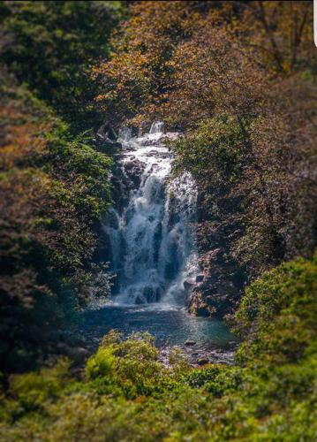 OYO Hotel Rincón Texolo