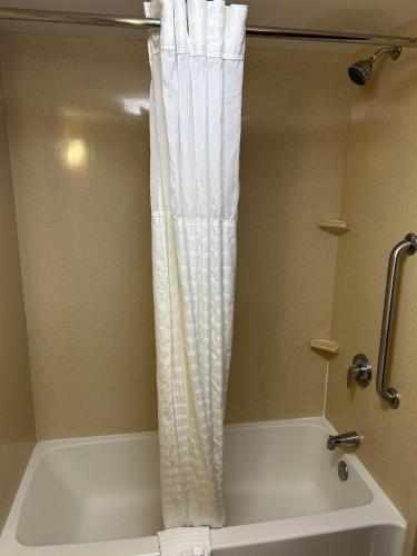 Comfort Suites Palm Bay - Melbourne - image 22