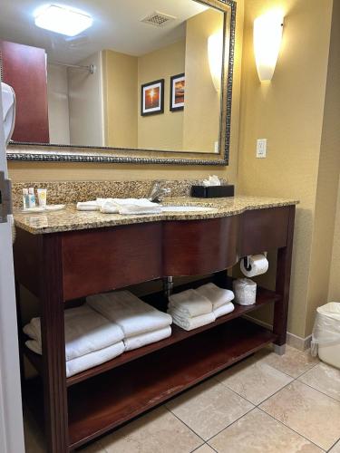 Comfort Suites Palm Bay - Melbourne - image 43