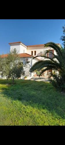 Άνετο παραθαλάσσιο διαμέρισμα (Ανετο παραθαλασσιο διαμερισμα) in 阿諾萊高尼亞