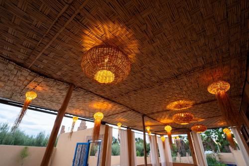 Dasofinya lodges Dasofinya lodges