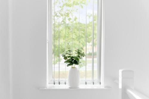 3 bed home in Wollaton, Nottingham in Wollaton