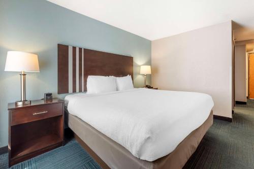 Best Western St. Clairsville Inn & Suites - image 11