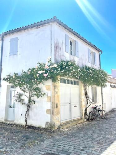 Maison de ville Chai Saint Martin de Ré - Location, gîte - Saint-Martin-de-Ré