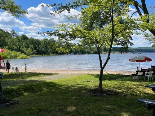Wally's House - image 14