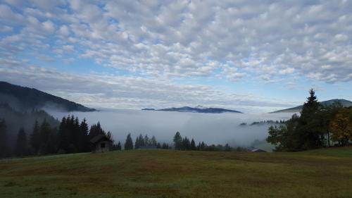 Frühstückspension Bachseitenhof