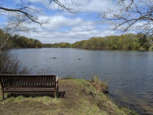 Spacious Two Bedroom Apartment in Natick (MA)