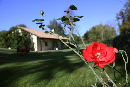  Tiberina 381, Pension in Marcigliana bei Riano