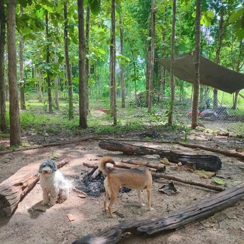 Doendin Mudbrick hostel in Thung Yao