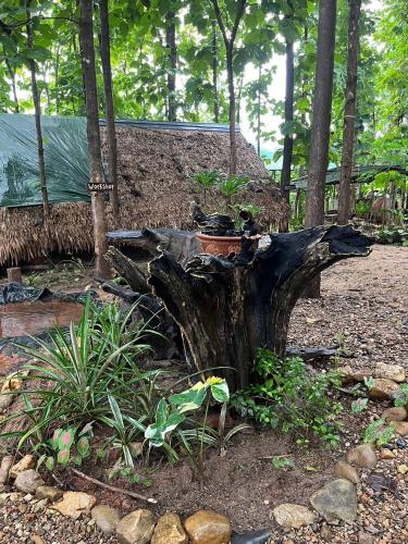 Doendin Mudbrick hostel in Thung Yao