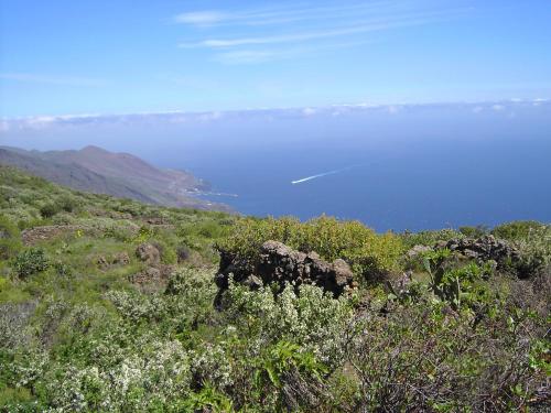 Casa Elvira - image 12