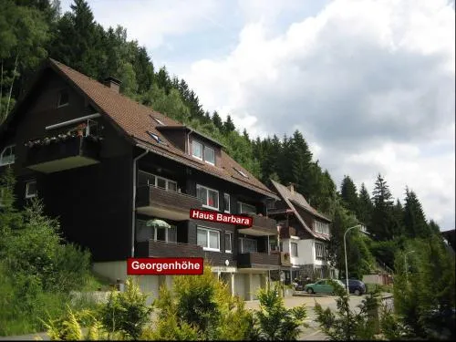 Haus Barbara - Ferienwohnung Georgenhöhe in Wildemann, Deutschland