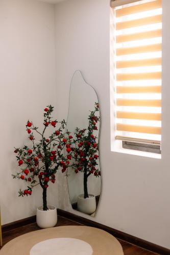 Minh Anh Homestay 2