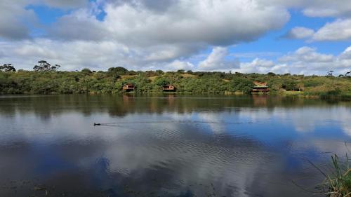 . Fleckvieh Guest Farm