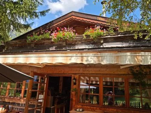 Pumafalle in Trins, Österreich