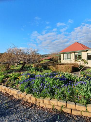 Hamlet Downs Country Accommodation - 정원