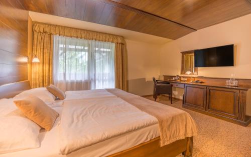 Wellness Hotel Borovica - image 3