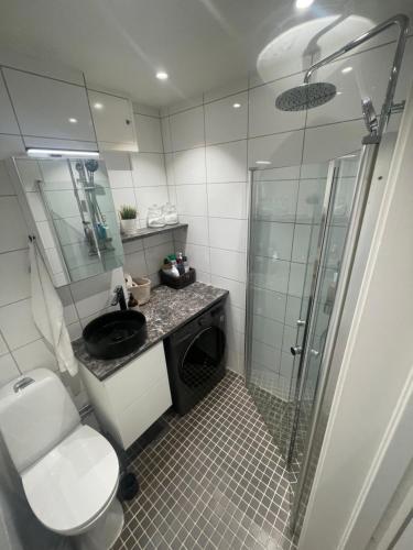 New renovated apartment, Oslo (photo 8)
