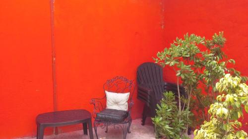 Facilities, Hospedaje La Rana in Flores