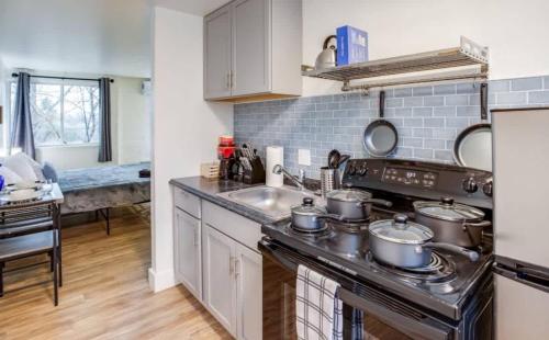 Newly Renovated Bright Studio in Rochester, USA