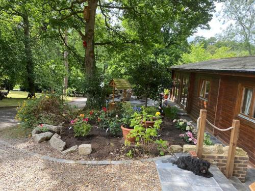 4 bedroom Lodge Hotub-Pool in Surrey UK gîte à louer Gomshall Railway Station