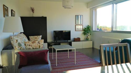 Vue dégagée, Cuisine moderne et WIFI, Strasbourg (photo 8)
