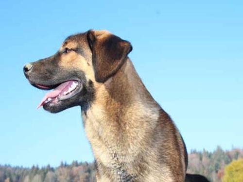 Apartment Peter in Freyung in the Bavarian Forest Apartment Peter in Freyung in the Bavarian Forest
