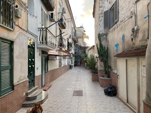 Central studio at Pedestrian Characteristic Area - Casa Vacanza Luz