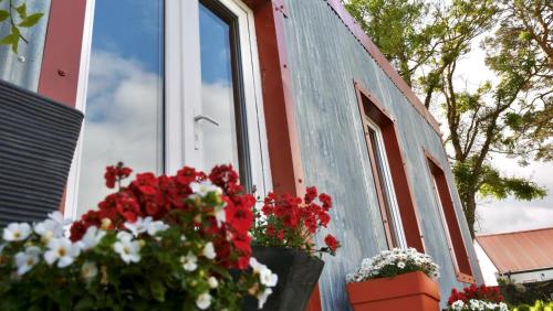 Kert, The Tin Shed in Clare