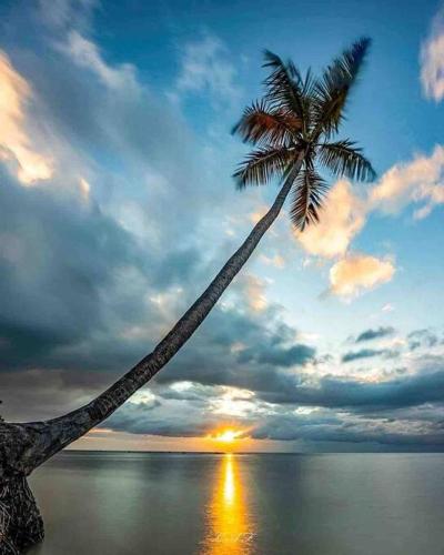 Near combate Beach, el Poblado boquerón and restaurants