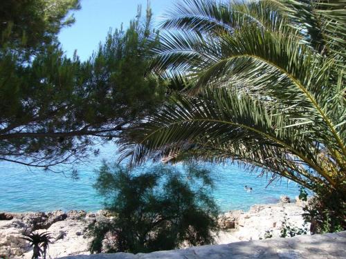 Apartments Zlatko Slobodan - by sea - image 10