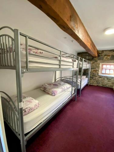 Old Mill Holiday Hostel - image 2
